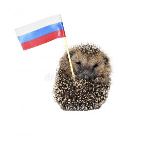 forest-wild-hedgehog-russian-flag-isolated-white-background-93712715 (1).jpg