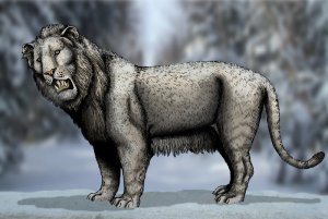 Panthera_leo_vereshchagini_by_felipe_elias-d1vrsmp.jpg