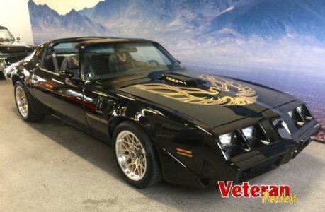 535f7bd7-3d5a-4e4a-9efc-89e5612a997a_pontiac-firebird-trans-am-targa.jpg