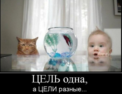 Снимок экрана от 2016-04-29 12:50:21.png