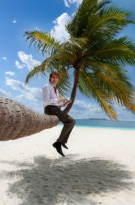 laptop-and-palm-tree.jpg