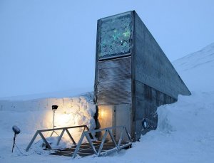 Зернохранилище судного дня на Шпицбергене.jpg