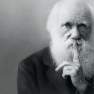 Darwin